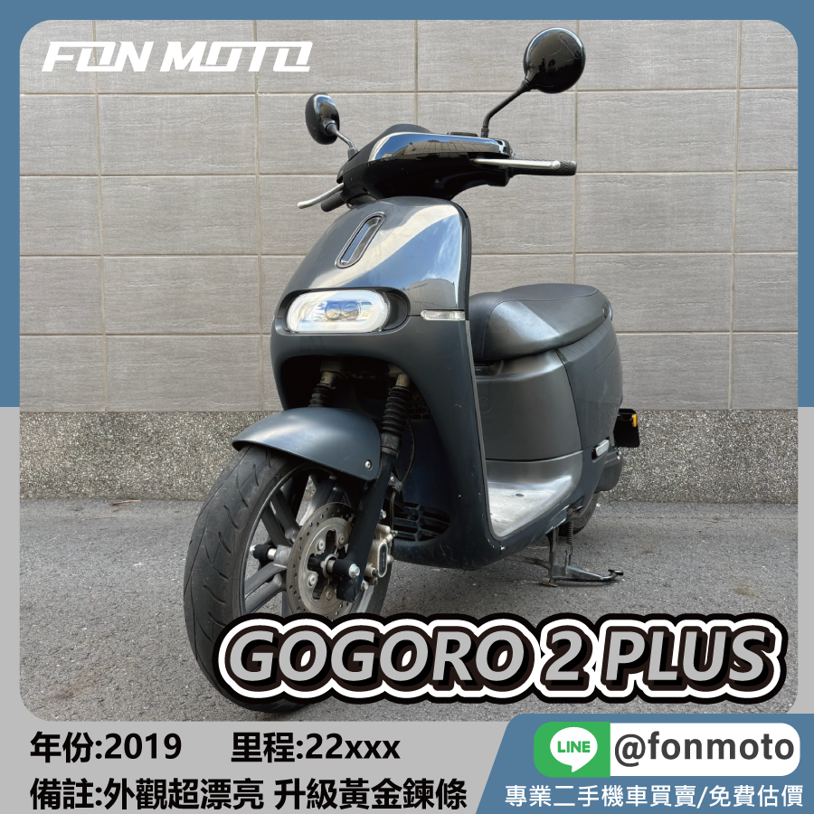 2019 GOGORO 2 PLUS 亮灰 電動機車