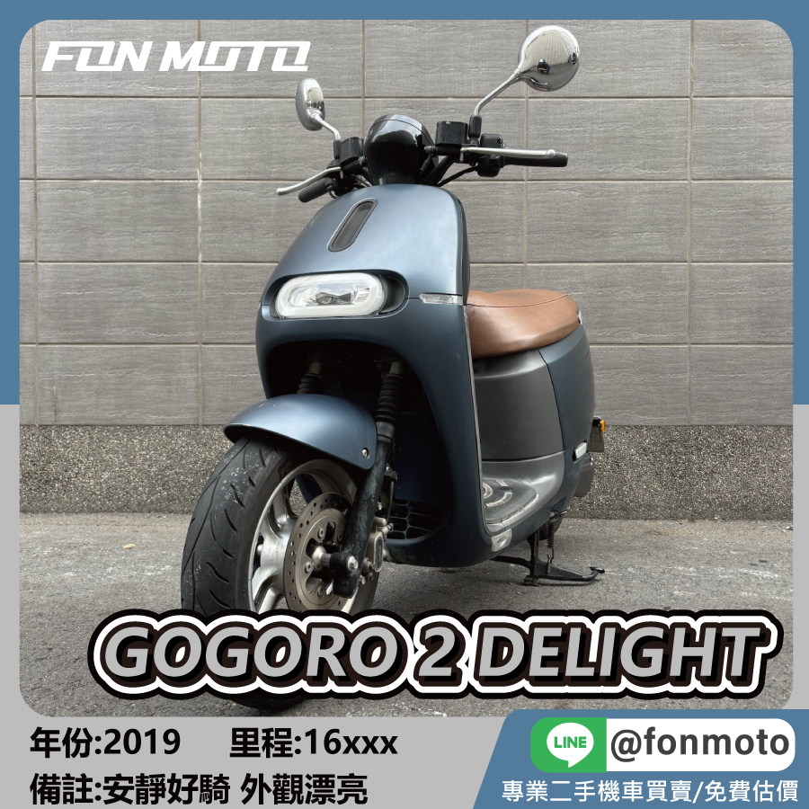 2019 Gogoro 2 Delight 消光灰